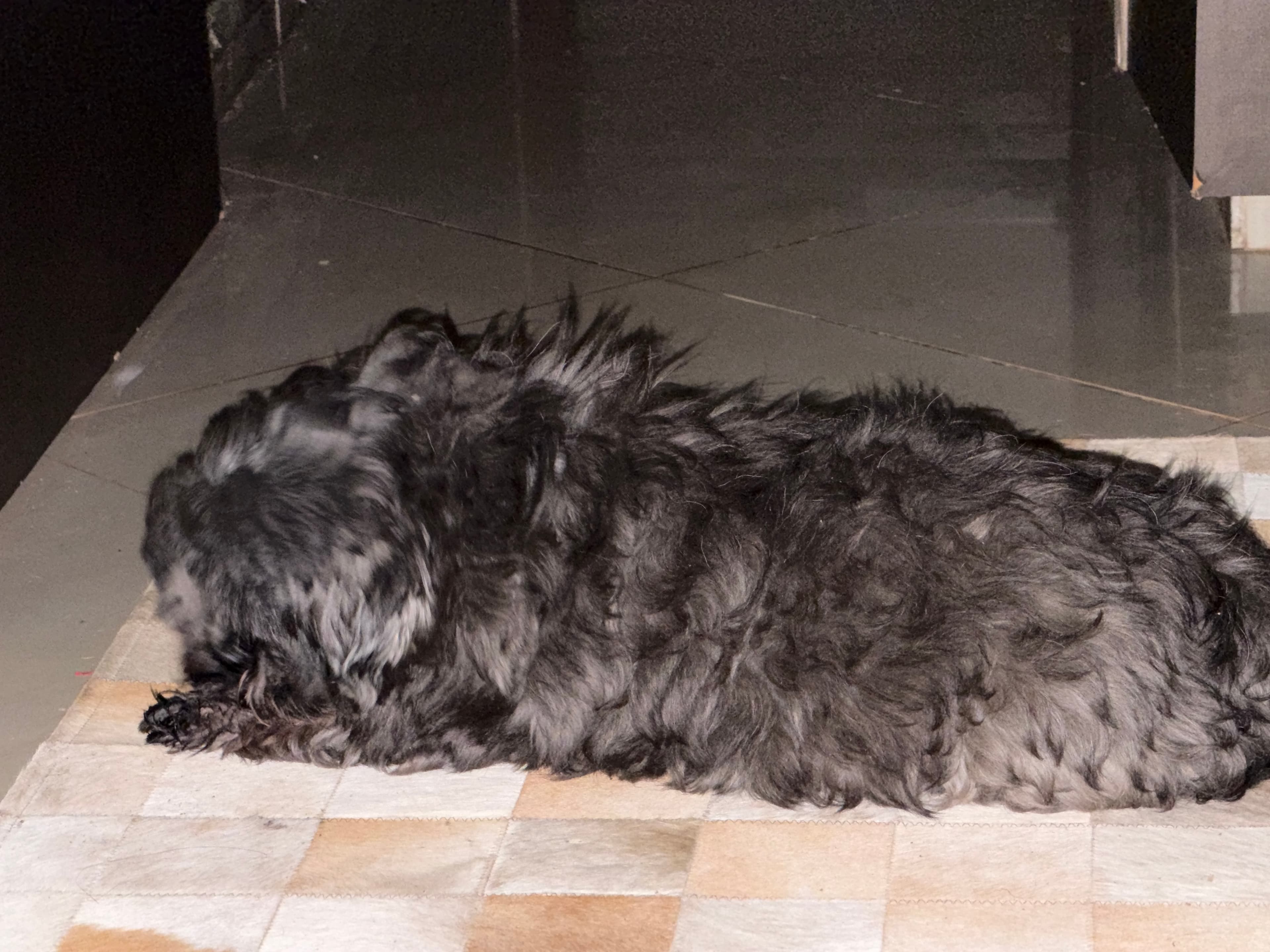 Thor